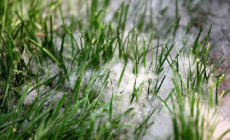 冬季將至，如何除去人造草皮中的冰雪？鉆石地為您支招